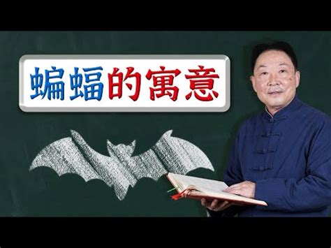 蝙蝠在家門口|【家中出現蝙蝠】家中驚現蝙蝠！吉兆還是禍害？ 專家解讀福禍。